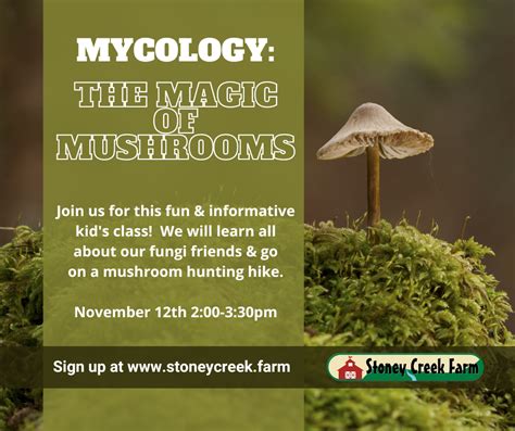 Decoding the Language of Mycology: Unraveling the Mystical